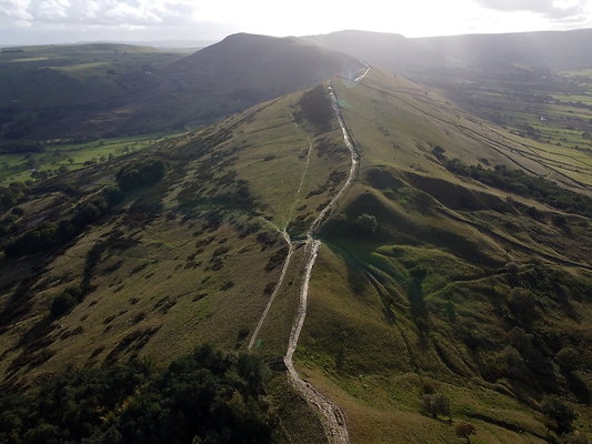 MamTor25016