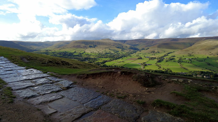 MamTor25042