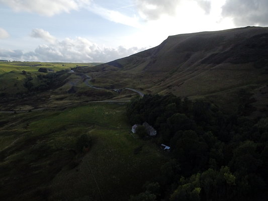 MamTor25002