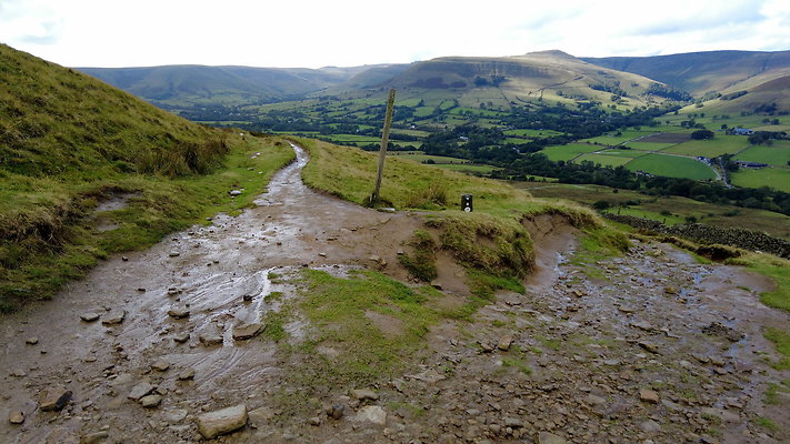 MamTor25044