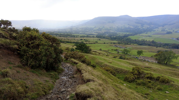 MamTor25068
