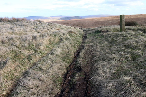 saddleworthmoor007