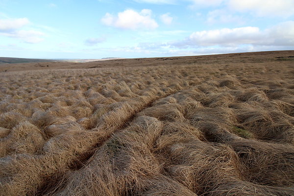 saddleworthmoor027
