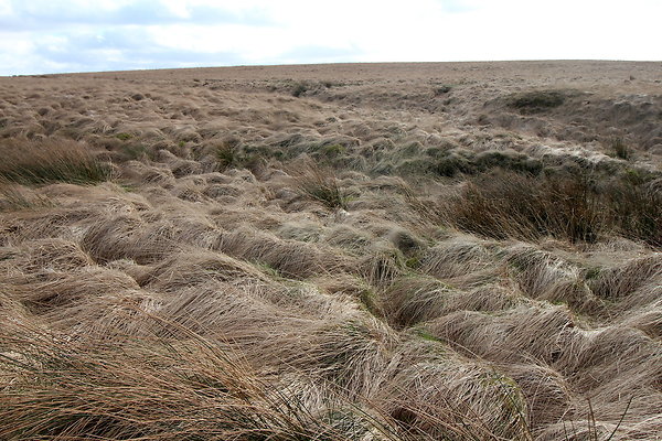 saddleworthmoor005