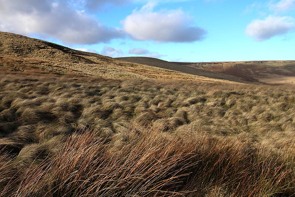 saddleworthmoor018