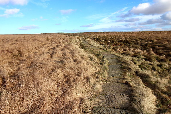 saddleworthmoor006