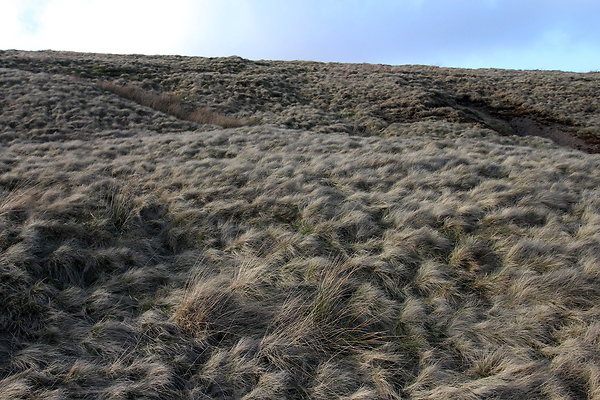 saddleworthmoor014