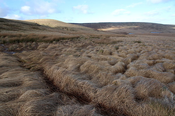 saddleworthmoor026