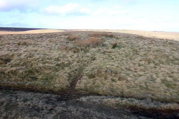saddleworthmoor010