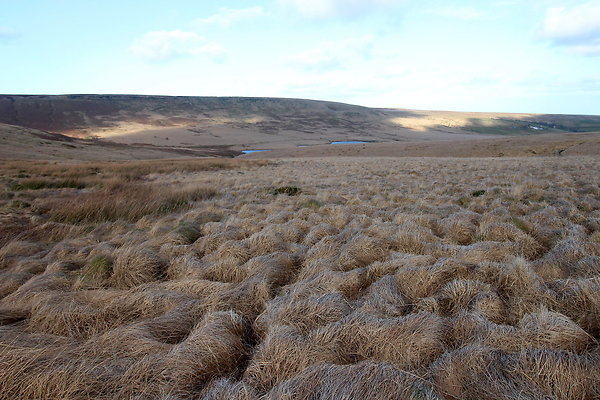saddleworthmoor025