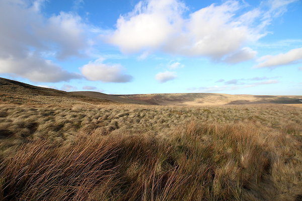 saddleworthmoor019