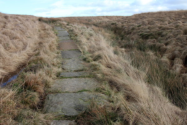 saddleworthmoor004