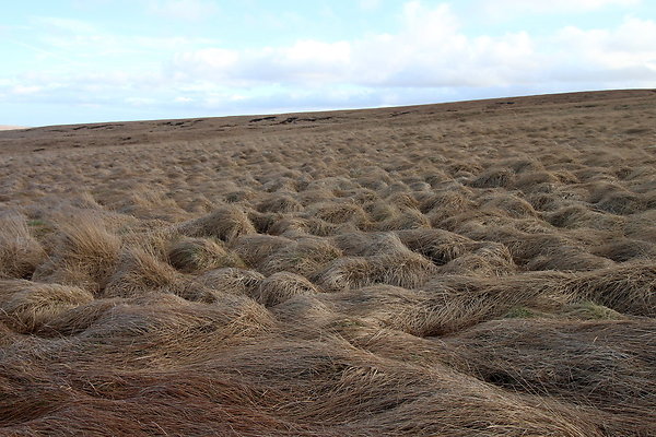 saddleworthmoor029