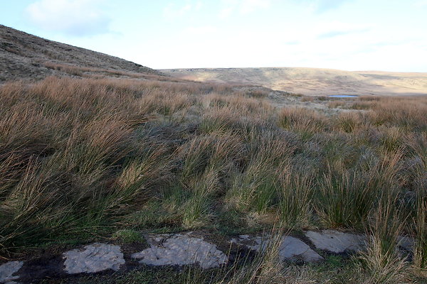 saddleworthmoor017
