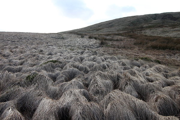 saddleworthmoor024