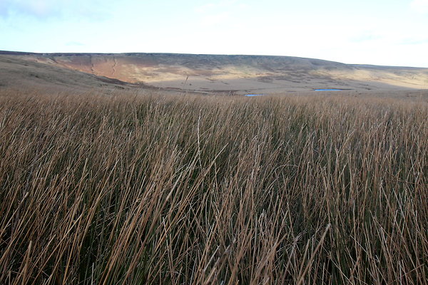 saddleworthmoor030