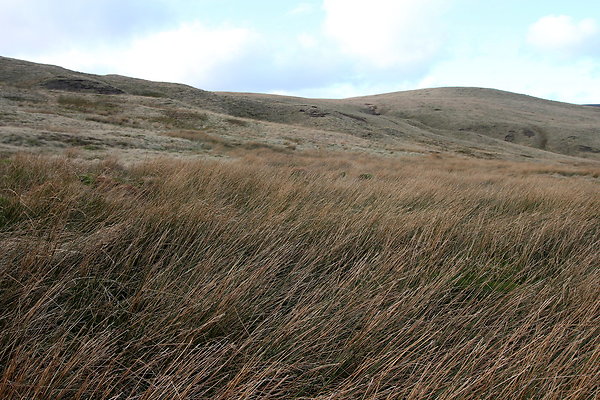 saddleworthmoor028
