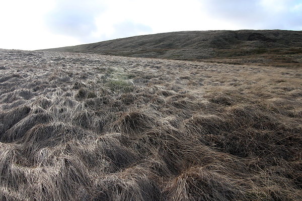 saddleworthmoor023