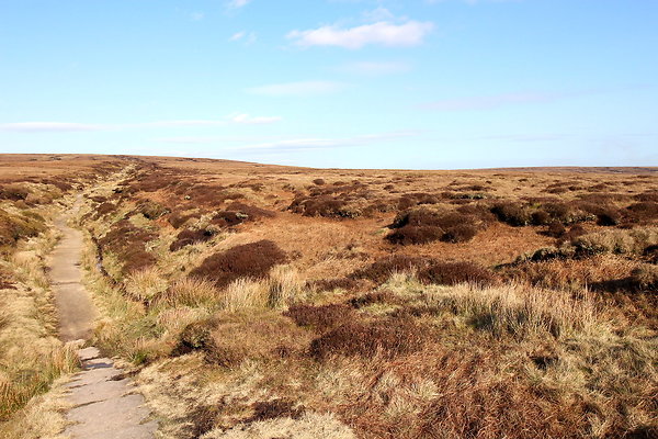 snakepasspennineway016 snakepasspennineway016