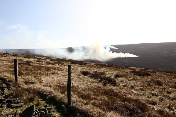 hurstmoor020 hurstmoor020