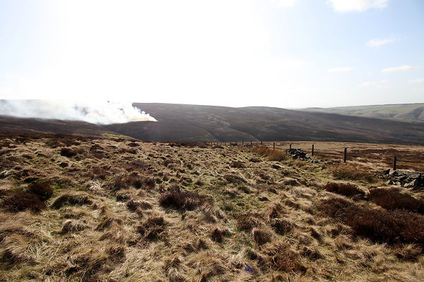 hurstmoor026 hurstmoor026