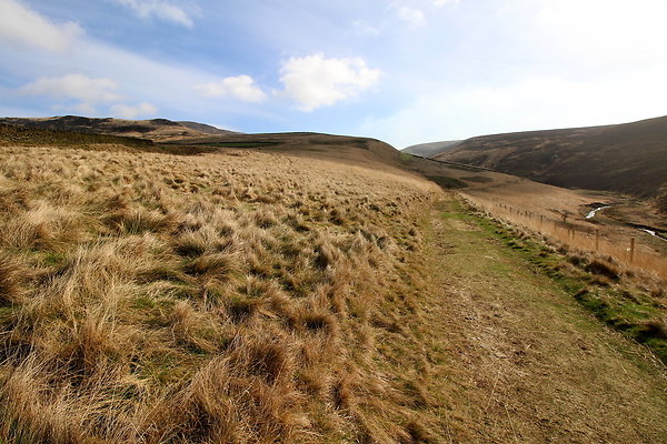 doctorsgate018 doctorsgate018