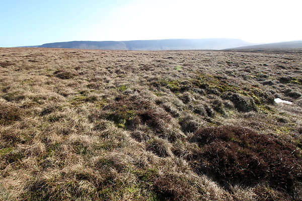 ashopmoor015 ashopmoor015