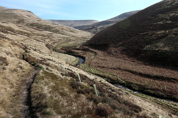 doctorsgate027 doctorsgate027