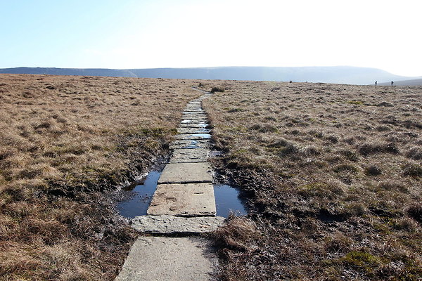 ashopmoor011 ashopmoor011