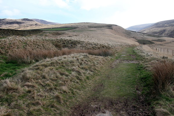 doctorsgate017 doctorsgate017