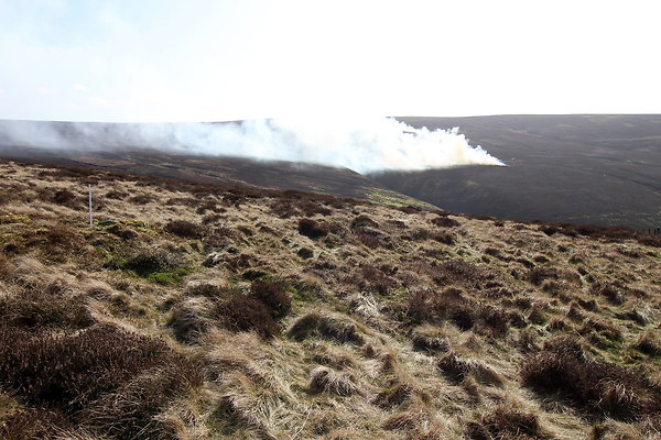 hurstmoor024 hurstmoor024