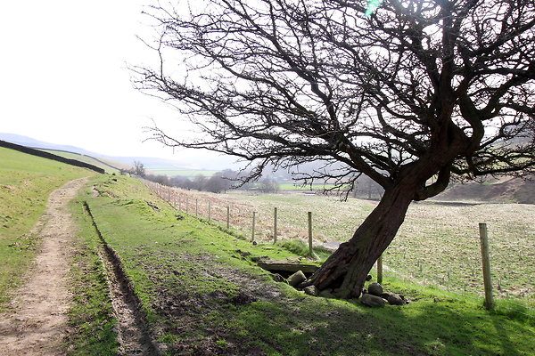 doctorsgate005 doctorsgate005