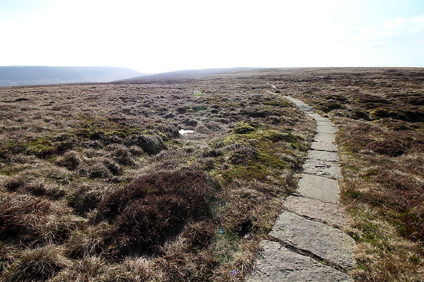 ashopmoor014 ashopmoor014