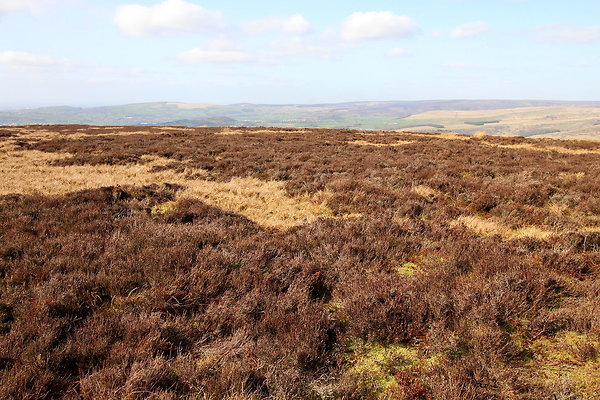 hurstmoor039 hurstmoor039