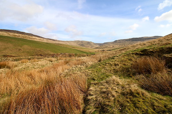 doctorsgate010 doctorsgate010