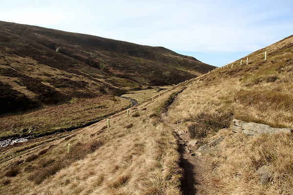 doctorsgate026 doctorsgate026