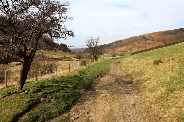 doctorsgate006 doctorsgate006