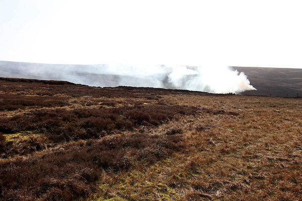 hurstmoor036 hurstmoor036