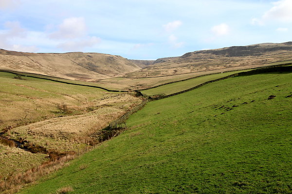 doctorsgate013 doctorsgate013