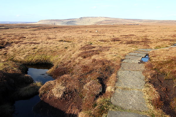 ashopmoor010 ashopmoor010