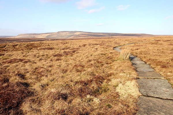 ashopmoor013 ashopmoor013