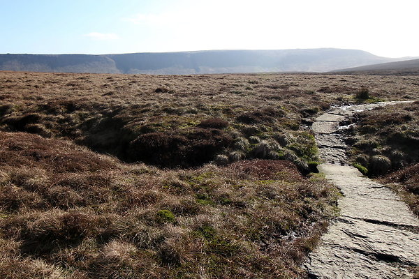 ashopmoor012 ashopmoor012