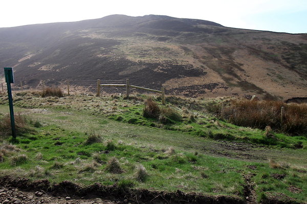 doctorsgate016 doctorsgate016