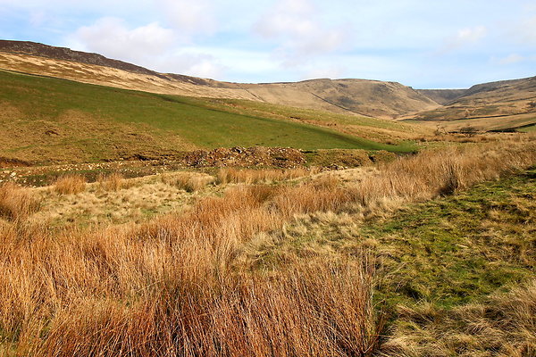 doctorsgate011 doctorsgate011