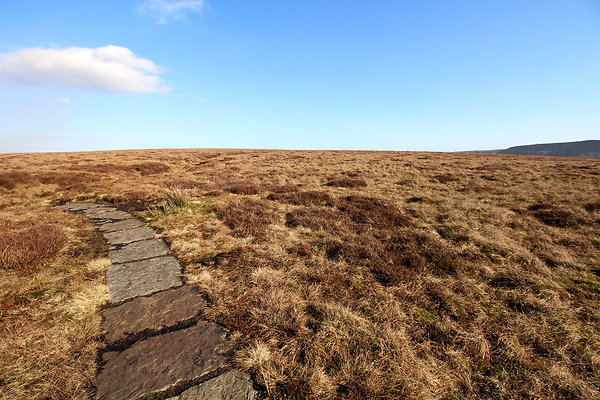 ashopmoor016 ashopmoor016