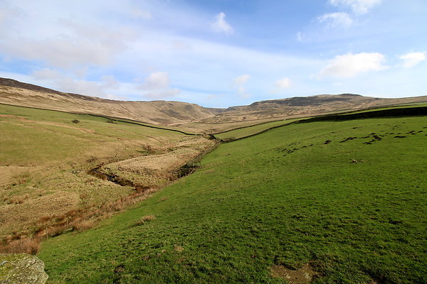 doctorsgate014 doctorsgate014