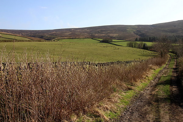 hurstmoor044 hurstmoor044