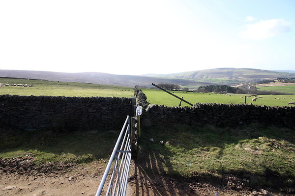 hurstmoor009 hurstmoor009