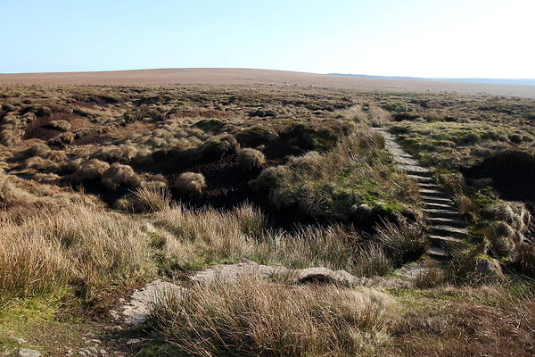 ashopmoor004 ashopmoor004