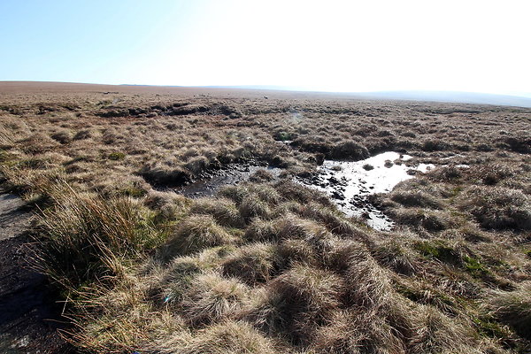 ashopmoor007 ashopmoor007